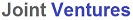 Adhesives Joint Ventures